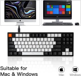 img 2 attached to 🔑 Keychron C1 Hot-swappable Mechanical Keyboard - Gateron Blue Switch, Double-Shot ABS Keycaps, White Backlight, USB Type-C Cable - Tenkeyless 87 Keys - Mac Windows PC Laptop Compatible