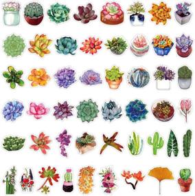 img 3 attached to 🌵 Colorful Set of 100 Cactus & Succulent Vinyl Stickers – Waterproof Decals for Laptop, Bottles, Skateboard, and More. Perfect Gifts for Kids, Girls, and Teens