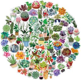 img 4 attached to 🌵 Colorful Set of 100 Cactus & Succulent Vinyl Stickers – Waterproof Decals for Laptop, Bottles, Skateboard, and More. Perfect Gifts for Kids, Girls, and Teens