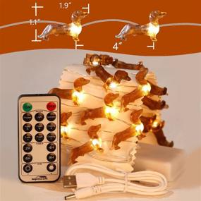 img 3 attached to 🐶 Impress Life Pet Theme Decorative String Lights - 10ft, 30 LED Dachshund Dog Twinkle Lights - USB Battery Operated with Remote - Ideal for Indoor, Covered Outdoor, Wedding, Birthday, Christmas Parties, Ornaments