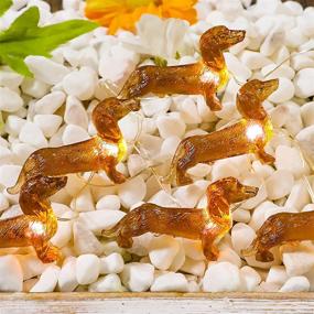 img 4 attached to 🐶 Impress Life Pet Theme Decorative String Lights - 10ft, 30 LED Dachshund Dog Twinkle Lights - USB Battery Operated with Remote - Ideal for Indoor, Covered Outdoor, Wedding, Birthday, Christmas Parties, Ornaments