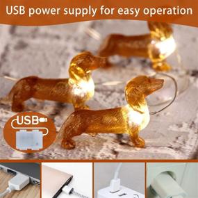 img 2 attached to 🐶 Impress Life Pet Theme Decorative String Lights - 10ft, 30 LED Dachshund Dog Twinkle Lights - USB Battery Operated with Remote - Ideal for Indoor, Covered Outdoor, Wedding, Birthday, Christmas Parties, Ornaments