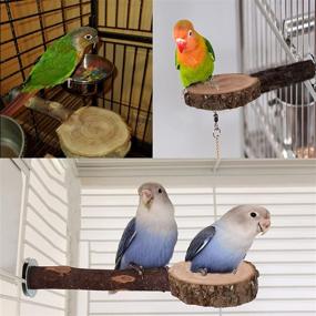 img 2 attached to 🐦 Wooden Bird Perch Stand, Tfwadmx Parrot Platform for Cage - Natural Wood Playground Accessories for Small Parakeets, Parrot Budgies, Cockatiels, Conure Lovebirds (2 Pcs)