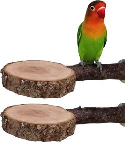 img 4 attached to 🐦 Wooden Bird Perch Stand, Tfwadmx Parrot Platform for Cage - Natural Wood Playground Accessories for Small Parakeets, Parrot Budgies, Cockatiels, Conure Lovebirds (2 Pcs)