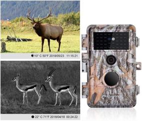 img 1 attached to BlazeVideo 1920X1080P Водонепроницаемая камера с активацией по движению для съемки диких животных.