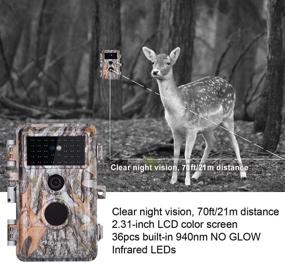img 2 attached to BlazeVideo 1920X1080P Водонепроницаемая камера с активацией по движению для съемки диких животных.