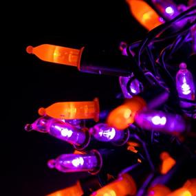 img 2 attached to Spooky Ambiance: FUNPENY 200 LED Halloween Mini String Lights, 66 FT 8 Modes Waterproof Fairy Lights in Purple and Orange - Perfect Party Decor!