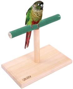 img 4 attached to 🦜 QBLEEV Small Bird Perch: Portable Training Stand for Cockatiels, Conures, Parakeets & More