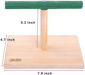 img 3 attached to 🦜 QBLEEV Small Bird Perch: Portable Training Stand for Cockatiels, Conures, Parakeets & More