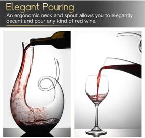 img 1 attached to 🍷 NUTRIUPS Wine Decanters and Carafes - Swan Shape, Clear, Lead-free Red Wine Decanters - 1.7L Capacity