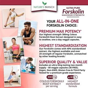 img 3 attached to 💪 Max Strength Premium 100% Ultra Pure Forskolin for Weight Loss - With 40% Standardized Coleus Forskohlii Root Extract Powder - Belly Buster Supplement, Extreme Keto Advanced Boost Complex - Contains 60 Diet Pills