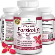 💪 max strength premium 100% ultra pure forskolin for weight loss - with 40% standardized coleus forskohlii root extract powder - belly buster supplement, extreme keto advanced boost complex - contains 60 diet pills logo