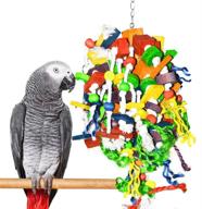 parrot chewing toys nibbling attention logo