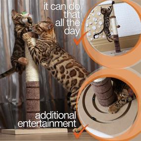 img 2 attached to 🐾 Ultimate 4 Paws Stuff Tall Cat Scratching Post: Interactive Toy for Cats and Kittens - Plush Sisal Scratch Pole Cat Scratcher - 22 inches (Beige)