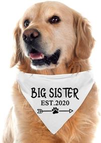 img 4 attached to Yangmics Direct Sister Est2020 Bandanas