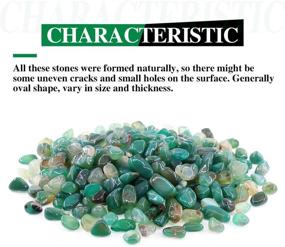 img 1 attached to 🪴 Hilitchi Green Agate Stone Tumbled Stones for Plants: Ideal for Cacti, Succulent Bedding, Vase Filling, and Landscape Bottom Decor (Approximately 1lb/455g per Bag)