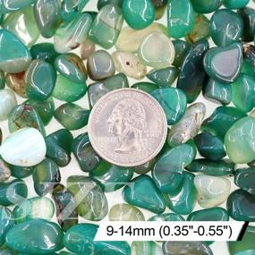 img 3 attached to 🪴 Hilitchi Green Agate Stone Tumbled Stones for Plants: Ideal for Cacti, Succulent Bedding, Vase Filling, and Landscape Bottom Decor (Approximately 1lb/455g per Bag)