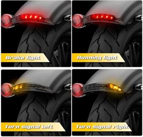 img 3 attached to 🏍️ QUASCO Chopped Fender Edge Light Kit: Motorcycle LED Tail Light & Turn Signals for Harley Sportster XL1200C, XL1200L, XL1200N, XL1200R, XL1200V, XL1200X Iron 883