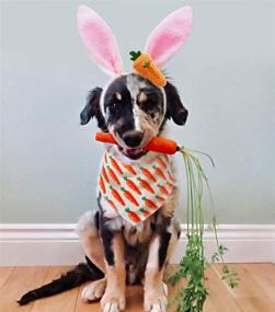 img 4 attached to Easter Bunny Ears Dog Headband with Stylish Easter Dog Bandana