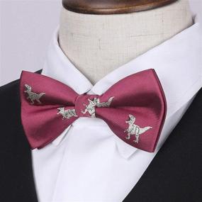 img 2 attached to HISDERN 3Pcs Boys Pre Tied Strap Boys' Accessories for Bow Ties