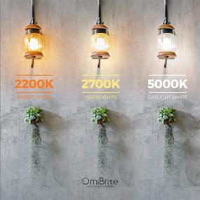 img 1 attached to 💡 Brilliantly Illuminating OmiBrite E26 Edison Bulbs: Enhance Your Ambiance!