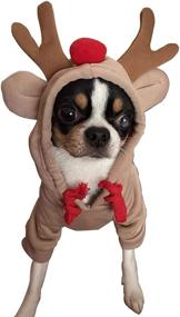 img 4 attached to Fruit Shape Cold Weather Pet Clothes Hoodie Sweatshirt - Costume Outfit for Small Medium Dogs and Cats