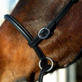 img 1 attached to 🐎 HORZE Genuine Leather Cross-Under Bitless Bridle with Web Reins & Hand Stops: A Premium Equestrian Accessory