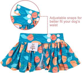 img 1 attached to 🐶 CuteBone Dog Bikini Swimsuit: Stylish Puppy Bathing Suit for Small Dogs - Perfect for Girls