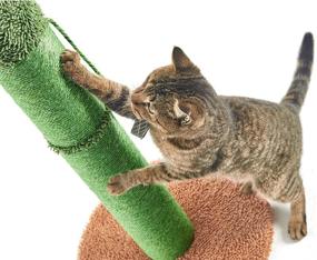 img 1 attached to 🌵 Ultimate Catinsider Cactus Cat Scratching Post: Engaging Dangling Ball for All Cats