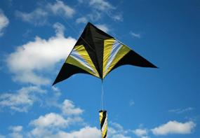 img 1 attached to 🪁 Weifang New Sky Delta Shape Kite - 6 Ft Wide - Flying Arrow Design - incl. Flying Line and Handle - Easy to Fly