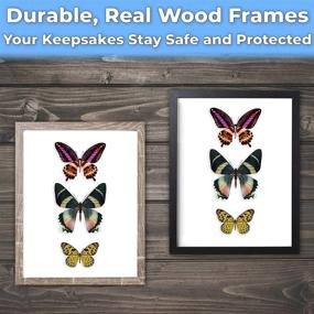 img 3 attached to Super-Sturdy Real Wood 8x8 Shadow Box Frame 3pk – Weathered Grey: Display Photos, Bouquets, Medals & More Effortlessly