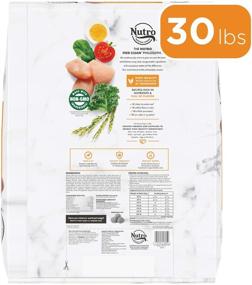 img 3 attached to Nutro Natural Choice Large Breed Adult & Senior Dry Dog Food, Chicken - Optimized Nutrition for Larger Dogs & Aging Canines