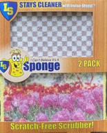 i cant believe its sponge logo