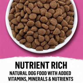 img 3 attached to Purina Beyond Grain-Free, Natural Beef and Egg Adult Dry Dog Food – Enhanced for SEO