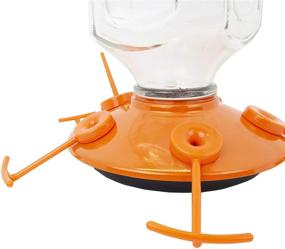 img 2 attached to 🐦 Perky-Pet 9113-2 Top-Fill Glass Oriole Feeder – 22 Oz: Amp Up Your Backyard with this Convenient and Beautiful Bird Feeder!