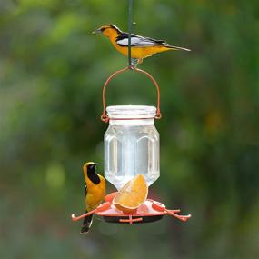 img 3 attached to 🐦 Perky-Pet 9113-2 Top-Fill Glass Oriole Feeder – 22 Oz: Amp Up Your Backyard with this Convenient and Beautiful Bird Feeder!