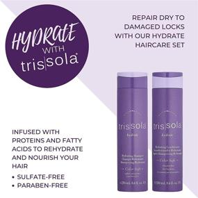 img 3 attached to Trissola Hydrate Shampoo Conditioner Moisturizing
