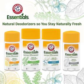 img 1 attached to 🌿 Arm & Hammer Essentials Unscented Deodorant with Natural Deodorizers - Save When You Buy 3 Packs