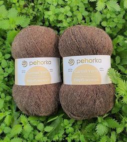 img 3 attached to Pehorka Mongolian Camel Wool Fingering Yarn Set - 2 for Knitting Warm Sweater, Scarf, Socks - 1200m & 200g Total - 372 Natural Brown