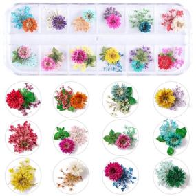 img 2 attached to KISSBUTY 24 Colors Dry Flowers Mini Real Natural Flowers Nail Art Supplies 3D Applique Sticker - 2 Boxes Gypsophila Flowers Leaves Decoration for Manicure Tips