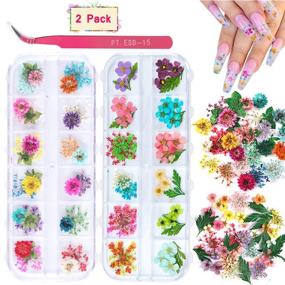 img 4 attached to KISSBUTY 24 Colors Dry Flowers Mini Real Natural Flowers Nail Art Supplies 3D Applique Sticker - 2 Boxes Gypsophila Flowers Leaves Decoration for Manicure Tips