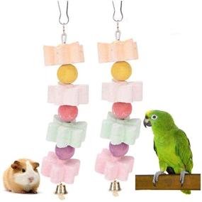 img 4 attached to 🦜 Hamiledyi Parrot Beak Trimmer Calcium Stone, Chinchilla Teeth Grinding Lava Block, Bird Beak Trim Pumice Toy, Mineral Rock Chewing Toys with Bell for Conure, Budgies, Parakeet, Hamster, Rabbit - Set of 2