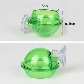img 3 attached to 🦎 POPETPOP Suction Cup Reptile Feeder: Translucent Anti-Escape Dish for Chameleon, Tortoise, Gecko, Snakes, Iguana, Lizard - Ledge Accessories Supplies