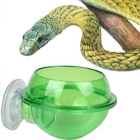 img 2 attached to 🦎 POPETPOP Suction Cup Reptile Feeder: Translucent Anti-Escape Dish for Chameleon, Tortoise, Gecko, Snakes, Iguana, Lizard - Ledge Accessories Supplies