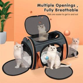 img 3 attached to 🐱 OKMEE Cat Carrier TSA Airline Approved: Ultimate Comfort and Maximum Space for Small Medium Cats Dogs Puppies - Ventilated, 5 Mesh Windows, 4 Open Doors