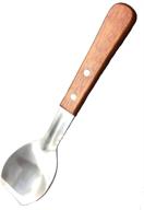 🍨 ice cream metal spade - lu2000 9-inch sweets blade scoop - wedding buffet cooking tool for bbq & kitchen cook - cake scraper stainless spoon shovel - large ice cream scooper logo