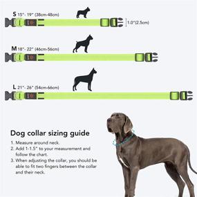 img 2 attached to 🐶 Weesiber LED Dog Collar Light: Rechargeable & Reflective Safety Collar for Small, Medium, and Large Dogs