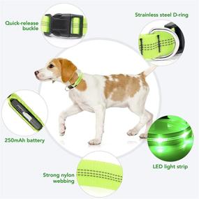 img 3 attached to 🐶 Weesiber LED Dog Collar Light: Rechargeable & Reflective Safety Collar for Small, Medium, and Large Dogs