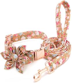 img 3 attached to 🌸 Pettidol Dog Collar: Stylish Adjustable Floral Pattern Collar for Dogs of All Sizes