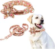 🌸 pettidol dog collar: stylish adjustable floral pattern collar for dogs of all sizes logo